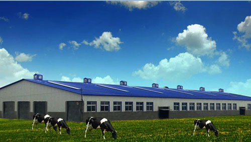 维多利亚老品牌vic(集团)官方网站