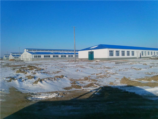 维多利亚老品牌vic(集团)官方网站