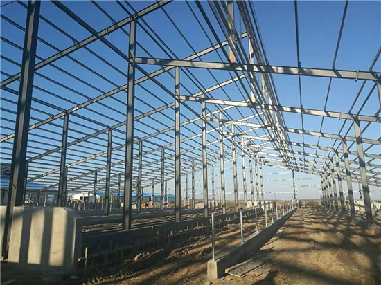 维多利亚老品牌vic(集团)官方网站