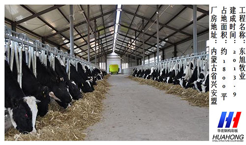 维多利亚老品牌vic(集团)官方网站