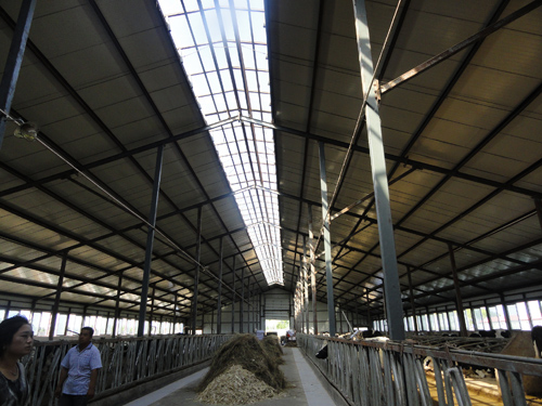 维多利亚老品牌vic(集团)官方网站