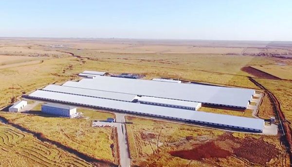 维多利亚老品牌vic(集团)官方网站