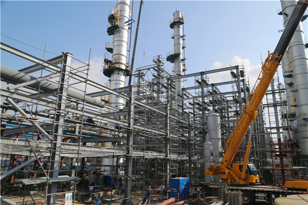 维多利亚老品牌vic(集团)官方网站