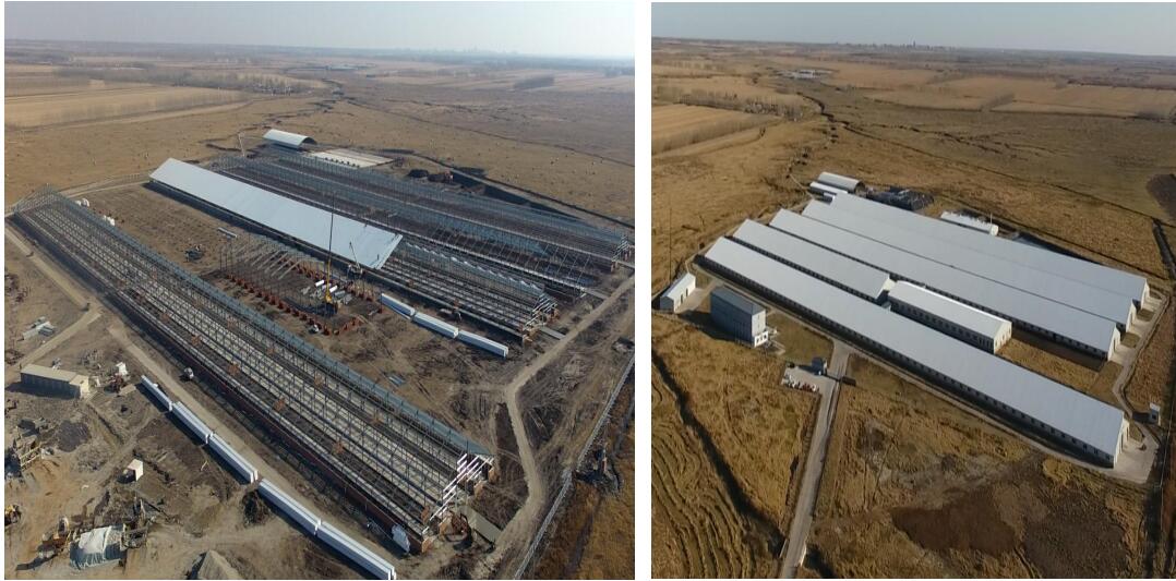 维多利亚老品牌vic(集团)官方网站