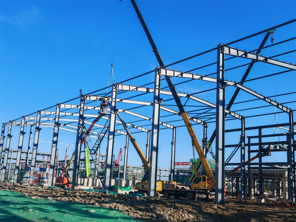 维多利亚老品牌vic(集团)官方网站