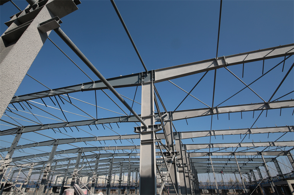 维多利亚老品牌vic(集团)官方网站