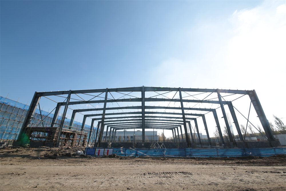 维多利亚老品牌vic(集团)官方网站