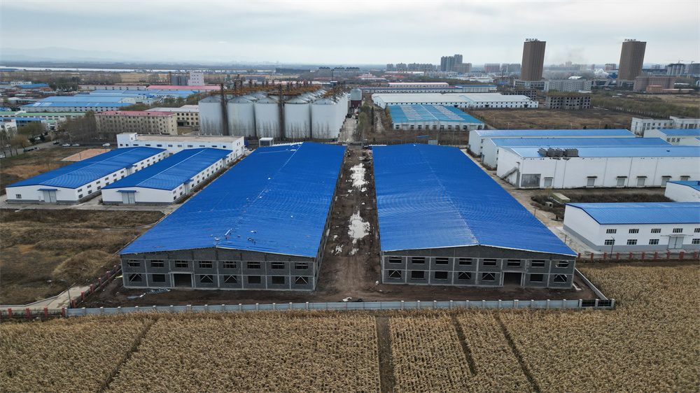 维多利亚老品牌vic(集团)官方网站